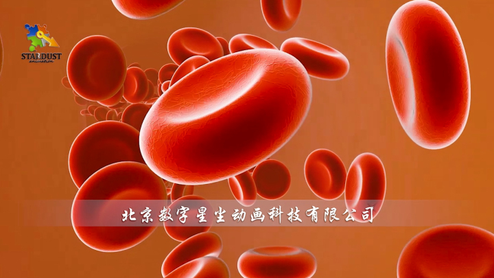 红细胞介绍
